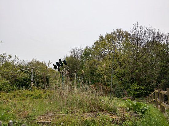 Gillespie Park Nature Reserve and Islington Ecology